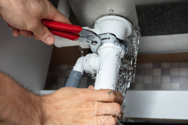 Best Flood damage cleanup  in Meridian, CO