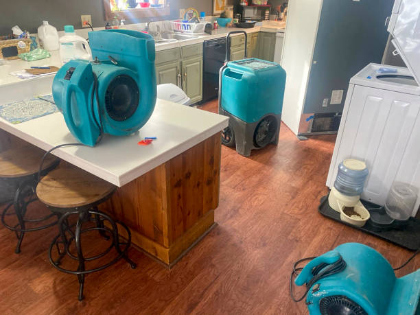 Best Flooded house restoration  in Meridian, CO