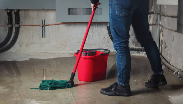 Best Carpet water damage restoration  in Meridian, CO