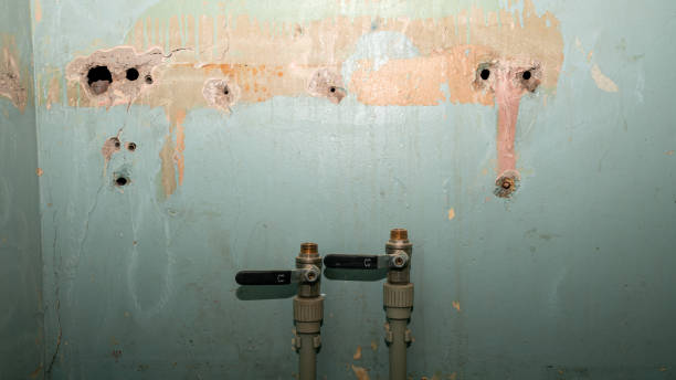 Best Ceiling water damage repair  in Meridian, CO