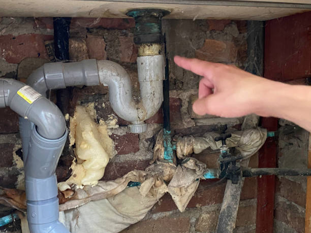 Best Basement water damage restoration  in Meridian, CO