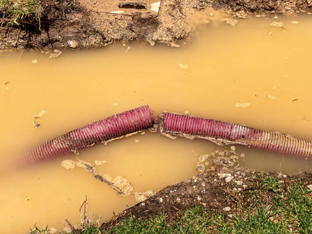 Best Water damage restoration near me  in Meridian, CO