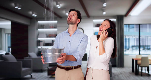 Reliable Meridian, CO Water damage restoration Solutions